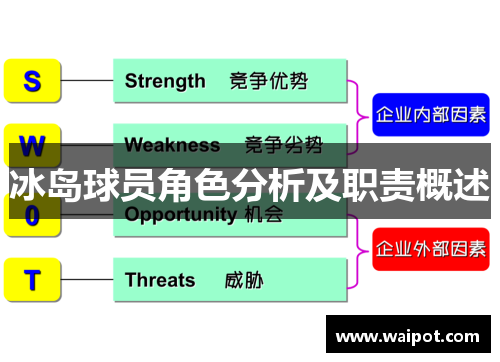 冰岛球员角色分析及职责概述